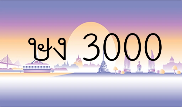 ษง 3000